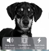 Dog Training Collar With Remote Control For All Breeds