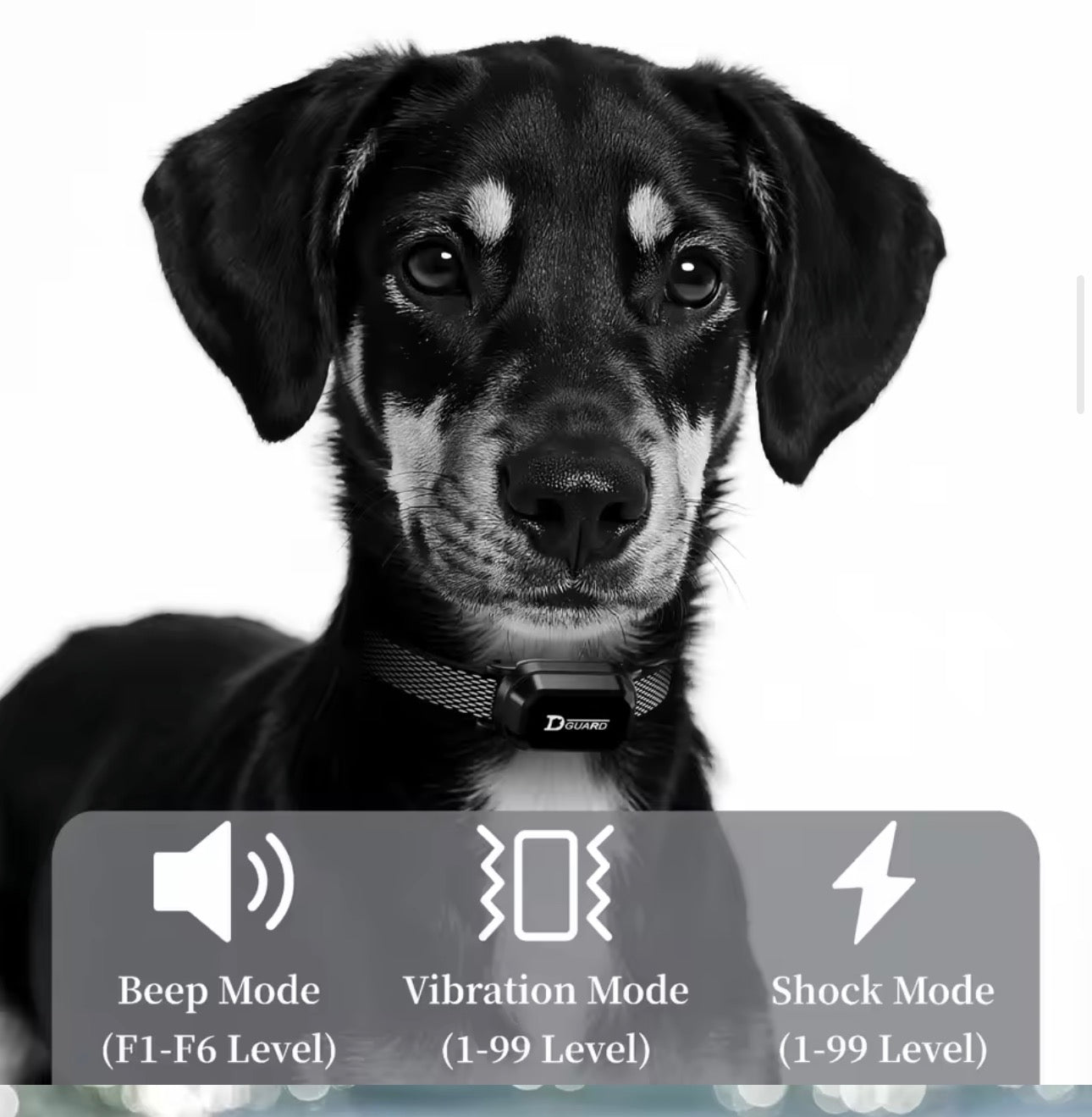Dog Training Collar With Remote Control For All Breeds