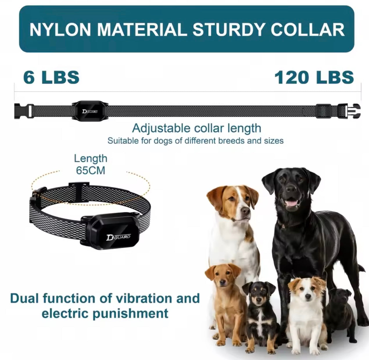 Dog Training Collar With Remote Control For All Breeds
